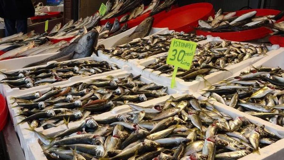 Hamsi ortadan kayboldu! Kilosu fırladı