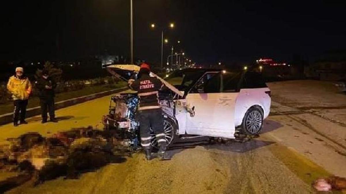Cip sürüye daldı; 58 koyun öldü
