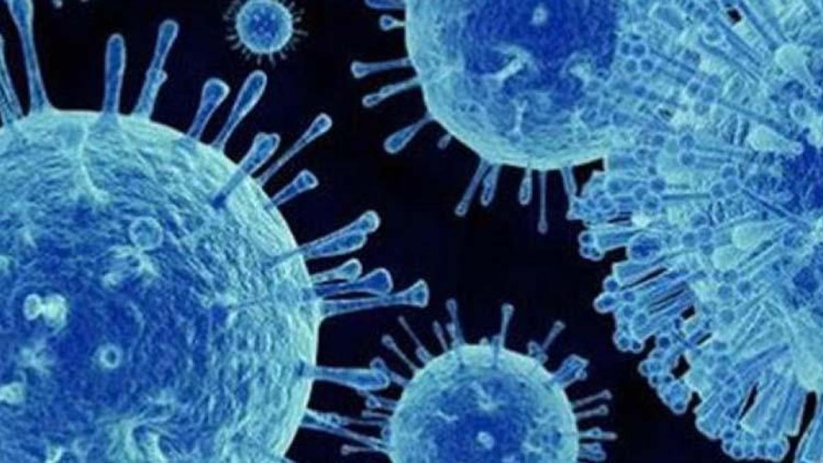 Norovirüs nedir? Bilecik’teki salgının nedeni norovirüs belirtileri nelerdir, neden olur, öldürür mü?