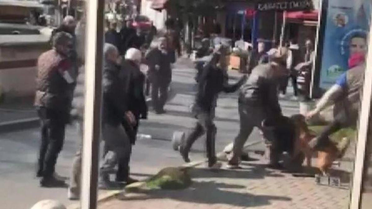 İstanbul'un göbeğinde pitbull dehşeti! Tartıştığı kişilere saldırttı!