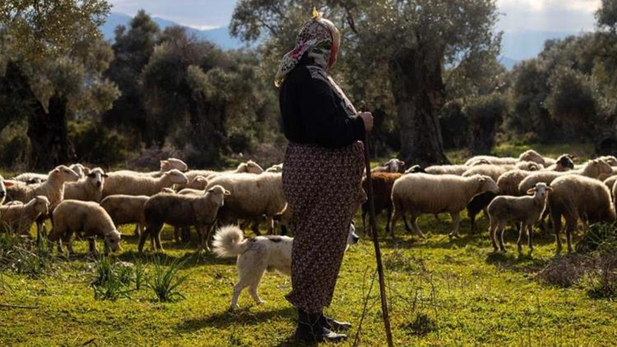 Çiftçilere ücretsiz danışmanlık hizmeti