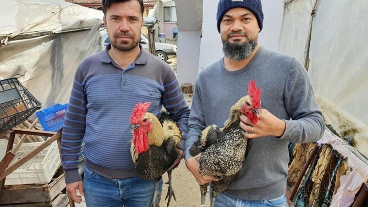 Yumurtanın tanesini 50 liraya satıyorlar! Paraya para demiyorlar