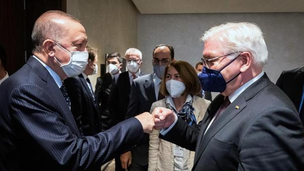 Cumhurbaşkanı Erdoğan, Alman mevkidaşı Steinmeier ile görüştü