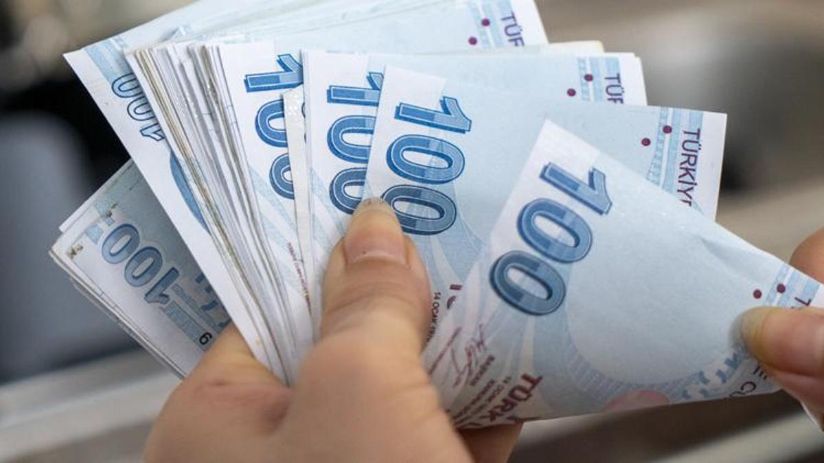 Son dakika destek açıklaması! 230 milyon lira dağıtılacak