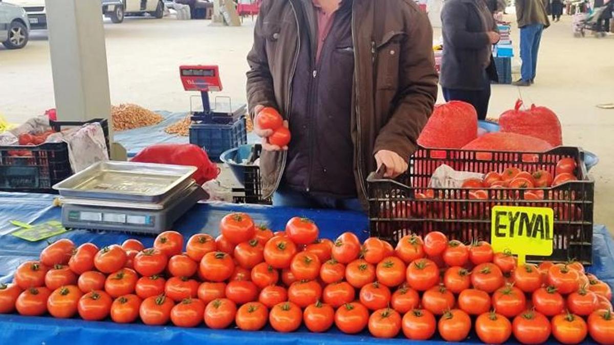 Domatesin fiyatı yarı yarıya düştü