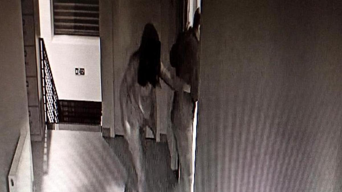 Veterinerde cinsel saldırı! Polislerden de şikayetçi oldu