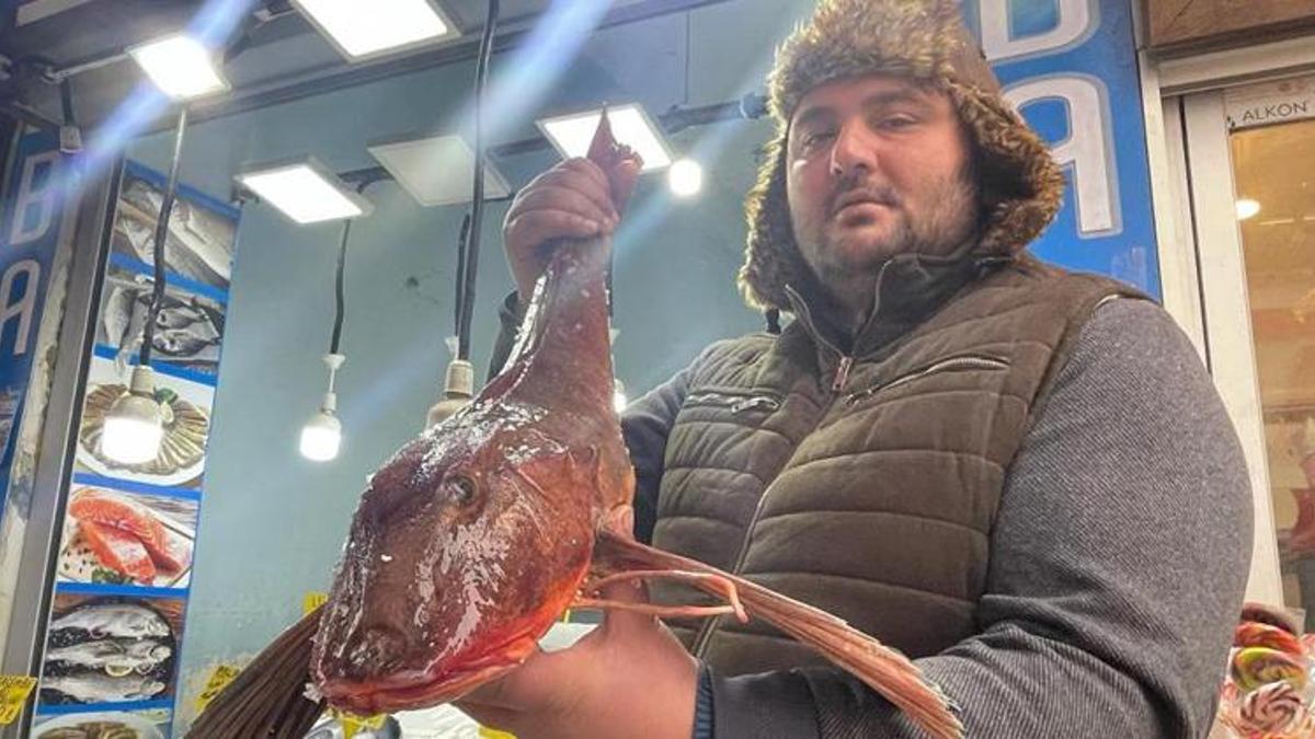 Bu balığın kilosu tam 200 lira!