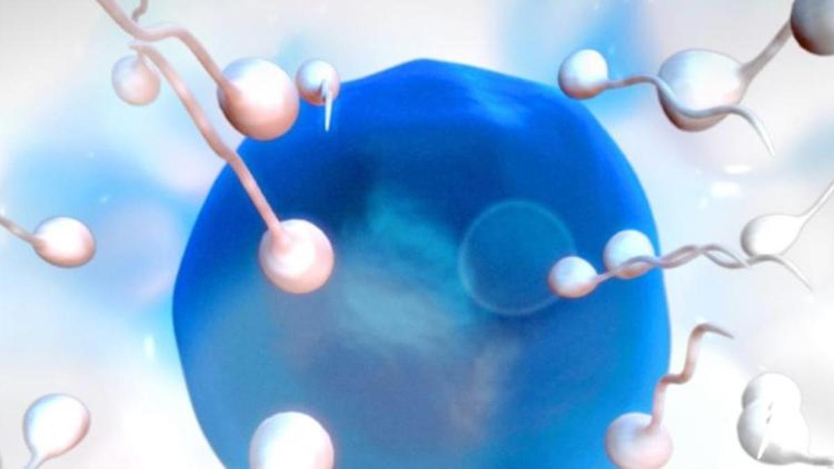 Sperm kalitesini düşürüyor! Cinselliği bitiriyor