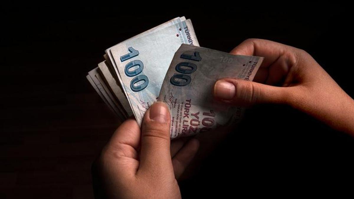 Destek ödemelerine ilişkin flaş gelişme! Resmi Gazete'de yayımlandı ve değişti