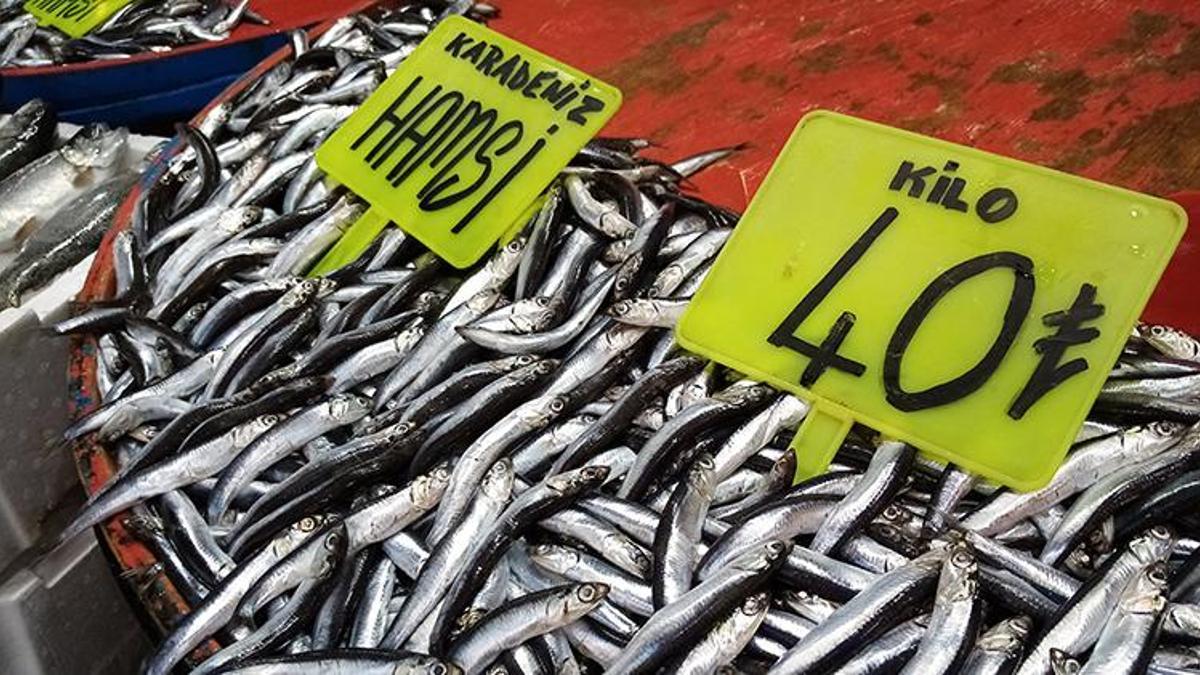 Kilosu 40 liradan tezgahlarda! Hamsi, İstavrit, Kolyoz...