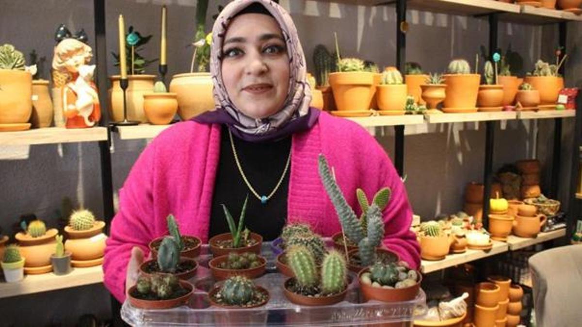 Kaktüs merakı 40 yaşındaki kadın girişimciyi iş sahibi yaptı