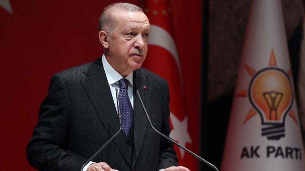 Cumhurbaşkanı Erdoğan: Döviz kuru, enflasyon, faizlerdeki dalgalanmalar geçiş sürecinin bedelleridir