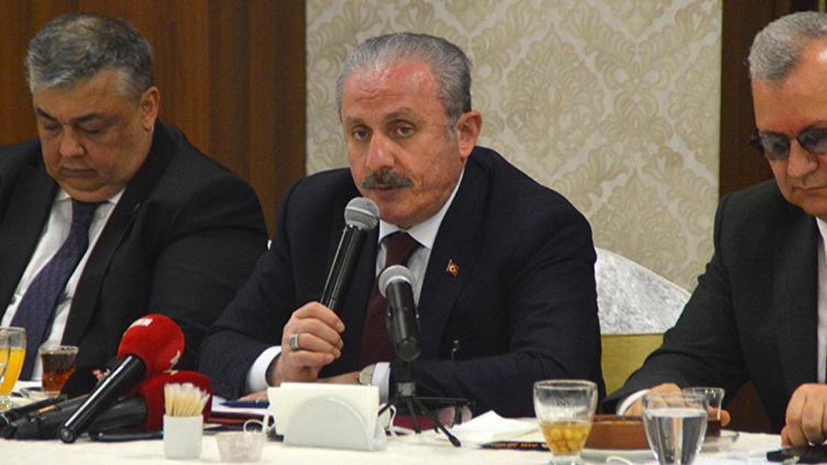 TBMM Başkanı Şentop: Türkiye, savaşla barış arasında da bir köprü