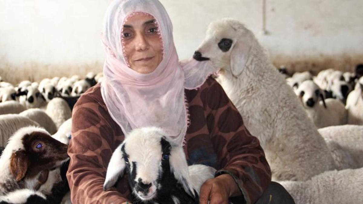 Şehir hayatını bıraktı köyde çiftlik kurdu! Aldığı hibe ile paraya para demiyor, 880 bin lira...