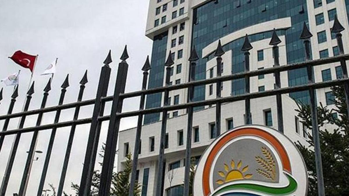 5 bin 64 personel alınacak! Kadro müjdesi geldi