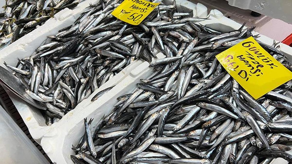 Balık tezgahlarında çeşit çok, balık az! Hamsi 50 liradan satılıyor