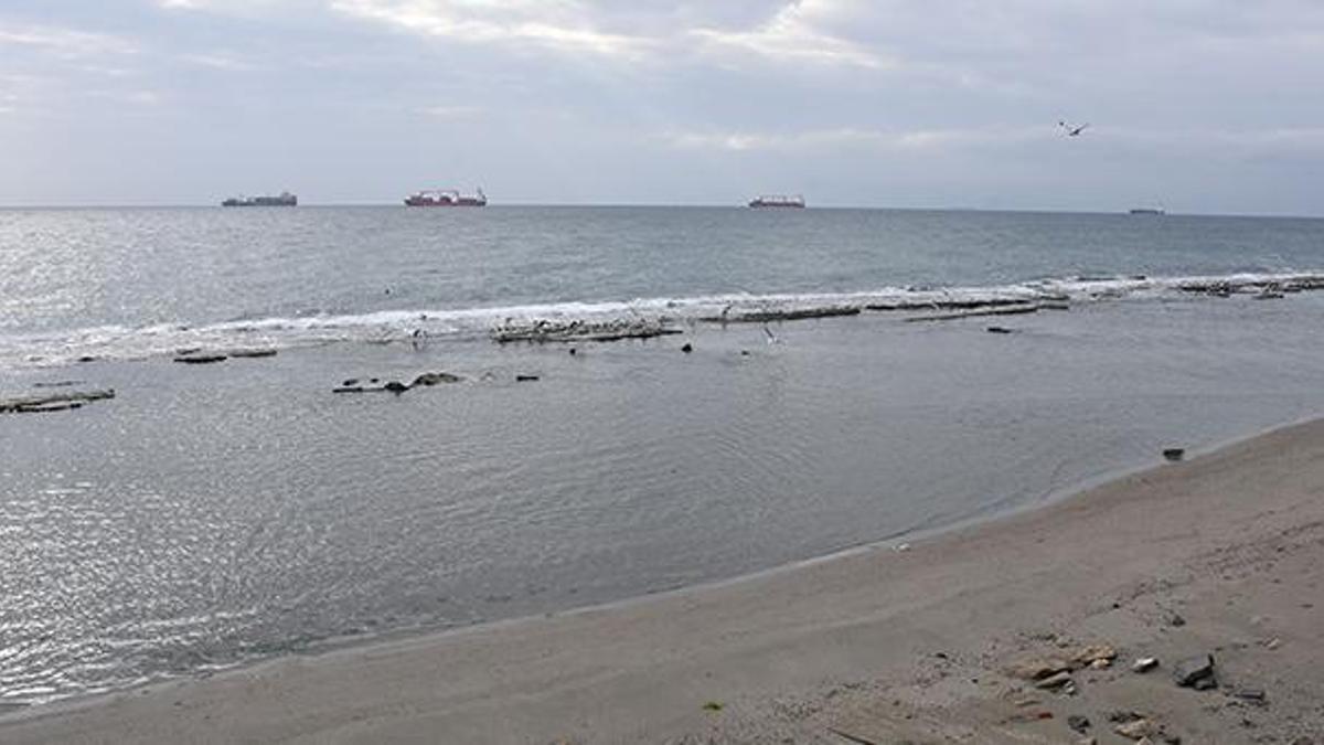 İzmir'den sonra Tekirdağ'da da görüldü! Deniz 10 metre çekildi