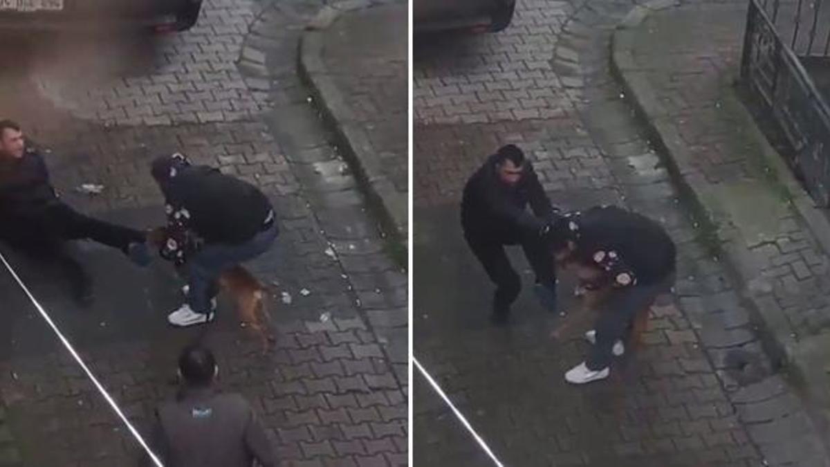 İstanbul'da pitbull dehşeti! Sokakta yürürken bir anda saldırdı