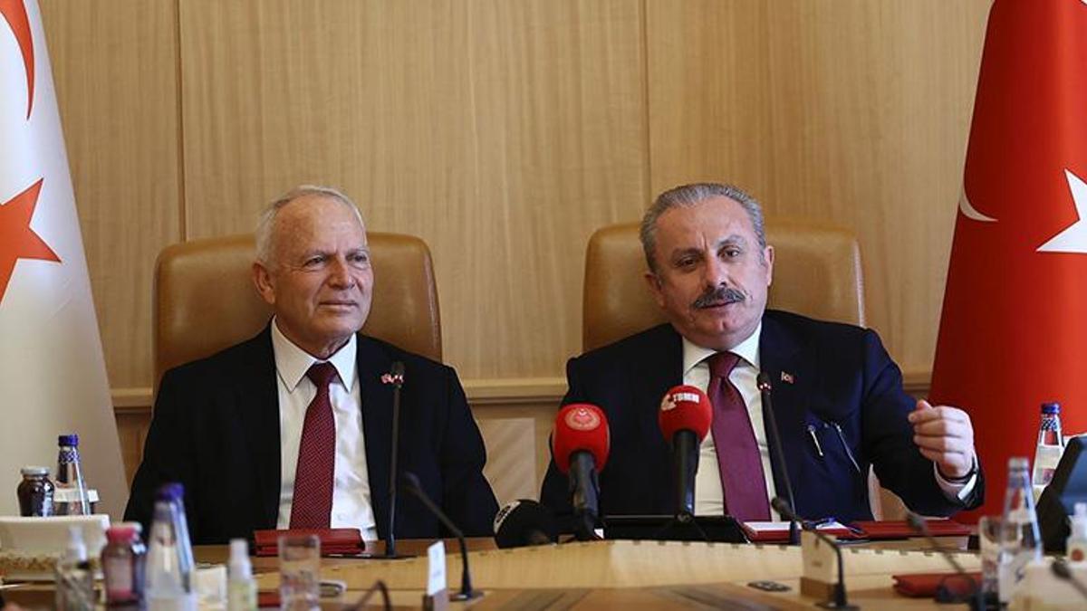 Doğu Akdeniz’deki hidrokarbon arama çalışmalarına ilişkin TBMM Başkanı Şentop'tan açıklama
