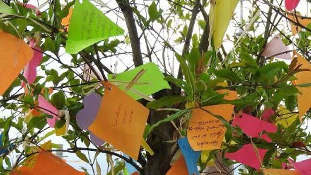 Hıdırellez nedir, hikayesi? Hıdırellez Bayramı ne zaman kutlanır?