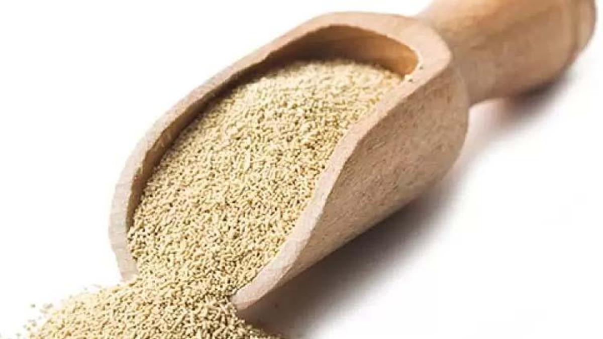 Maya fiyatları artacak mı, mayaya zam mı gelecek?