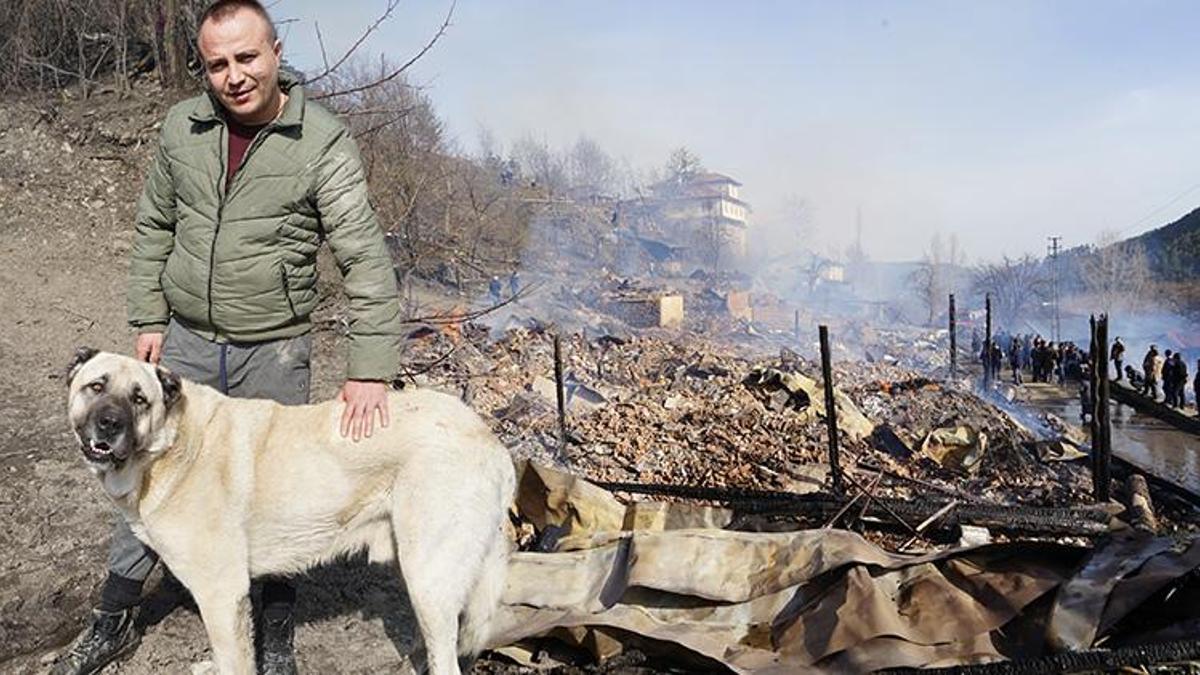 Kangal köpeği bütün köyün hayatını kurtardı! Kapıyı tırmalayarak uyandırdı
