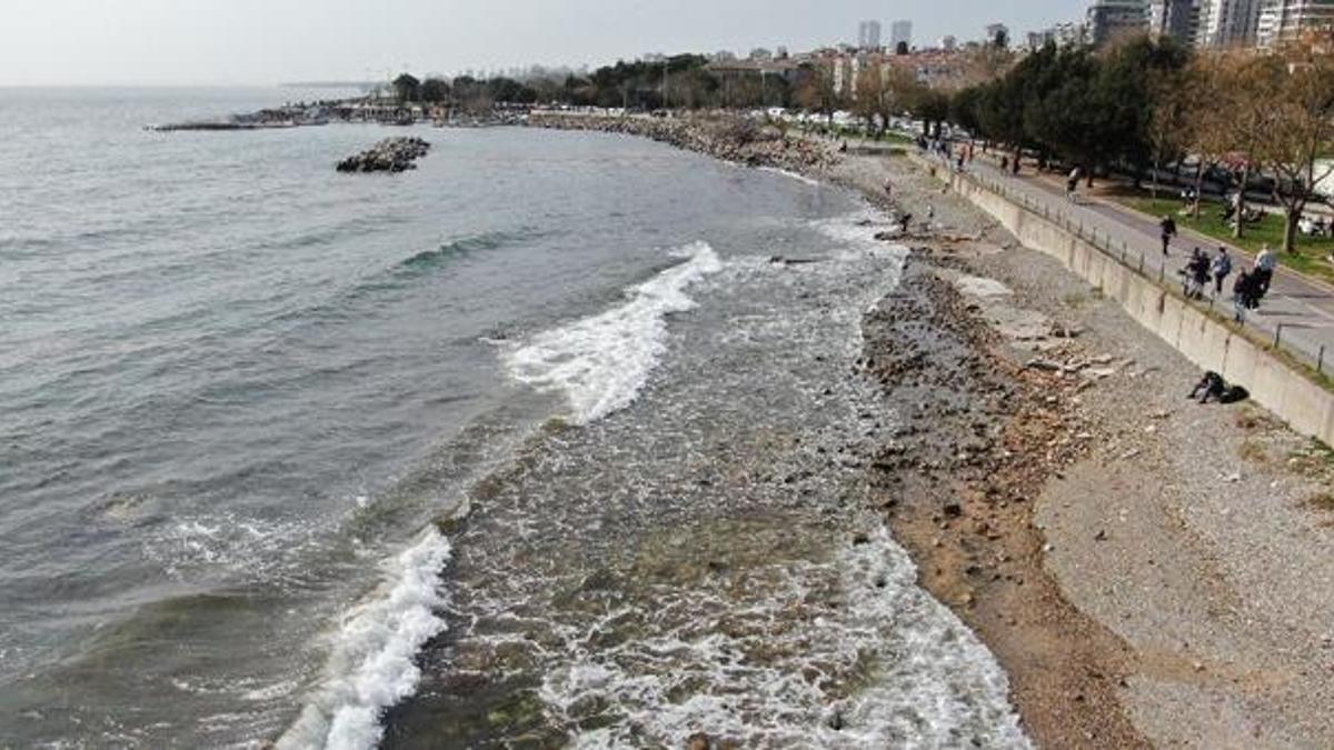 İstanbul, Kadıköy'de tedirgin eden görüntü! Hepsi ortaya çıktı, vatandaşlar şaşırdı