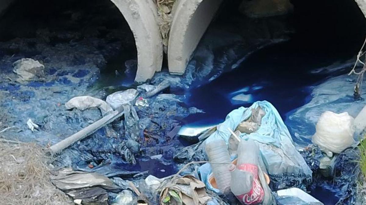 İstanbul’da baraja zehir akıyor! Hayvanlar öldü, insanlar tehlikede...