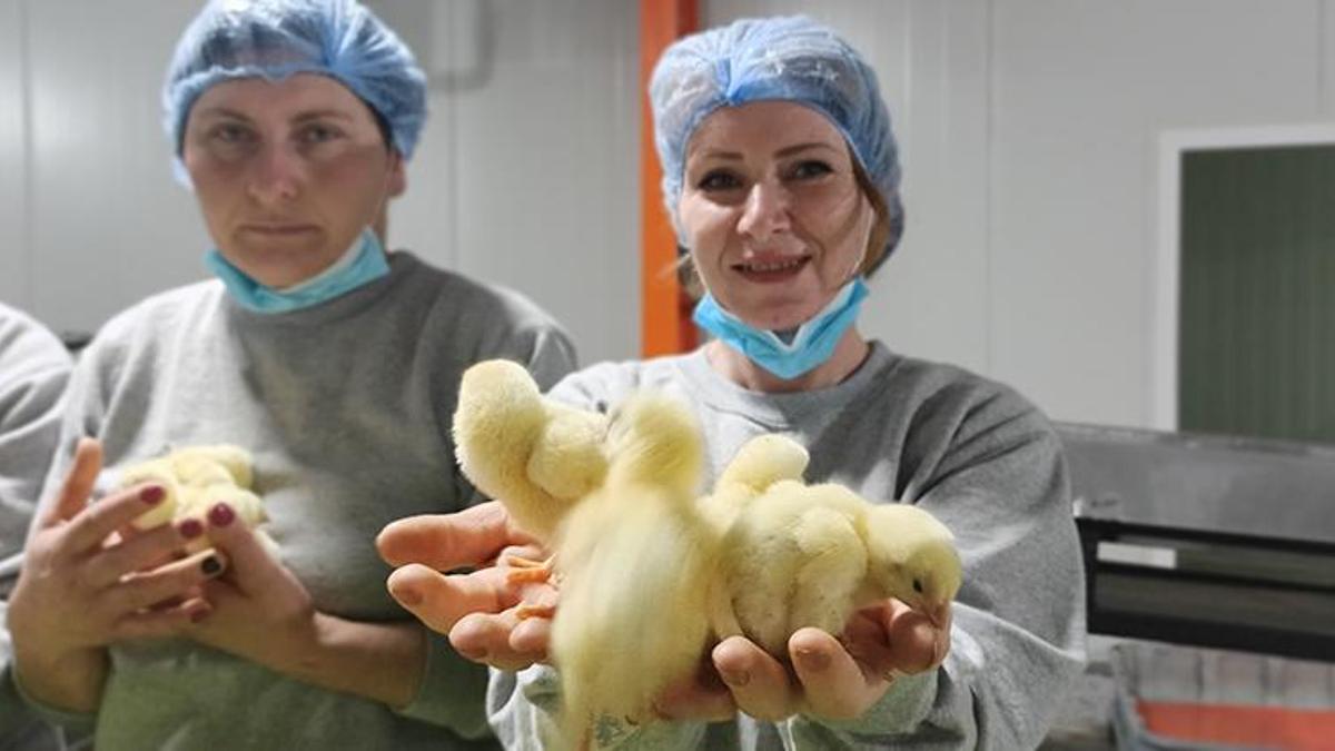 Bir ilk gerçekleşti! Türkiye'den dünyaya yayılıyor