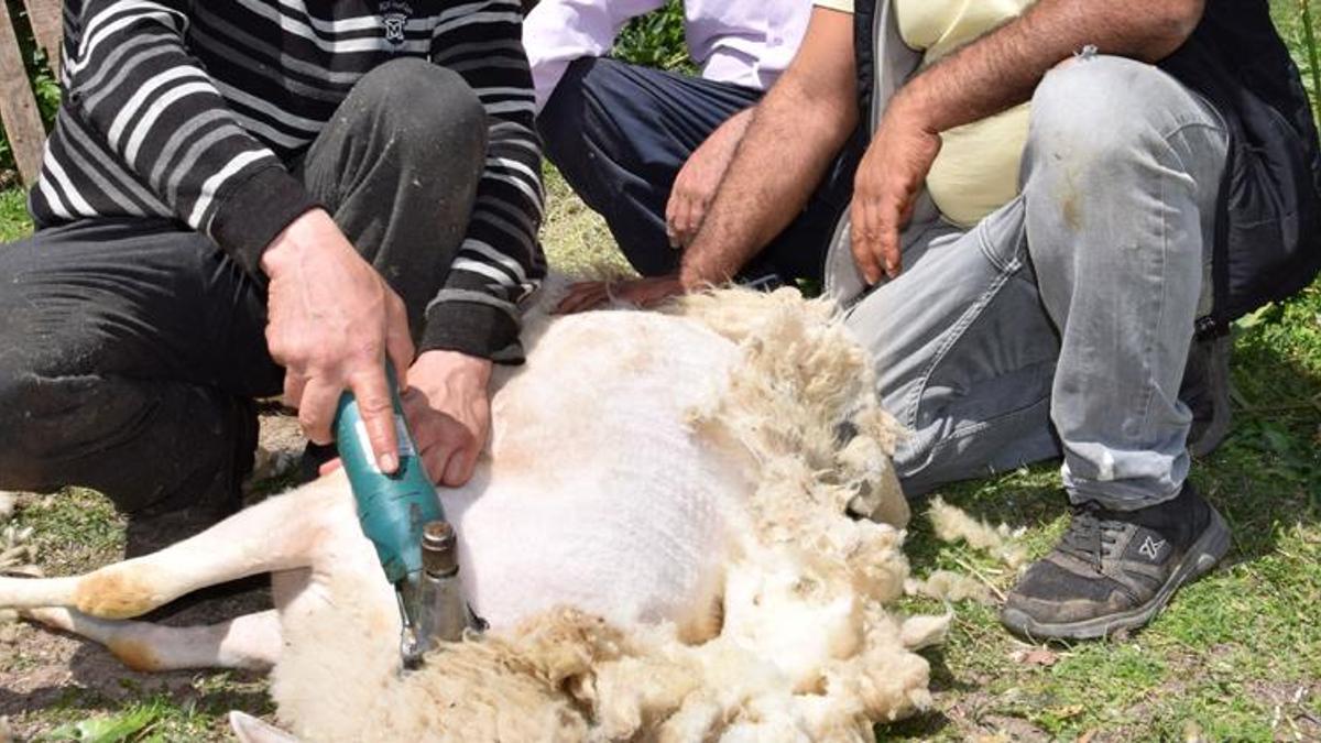 Talebe yetişemiyor, aylık kazancı 60 bin lira..