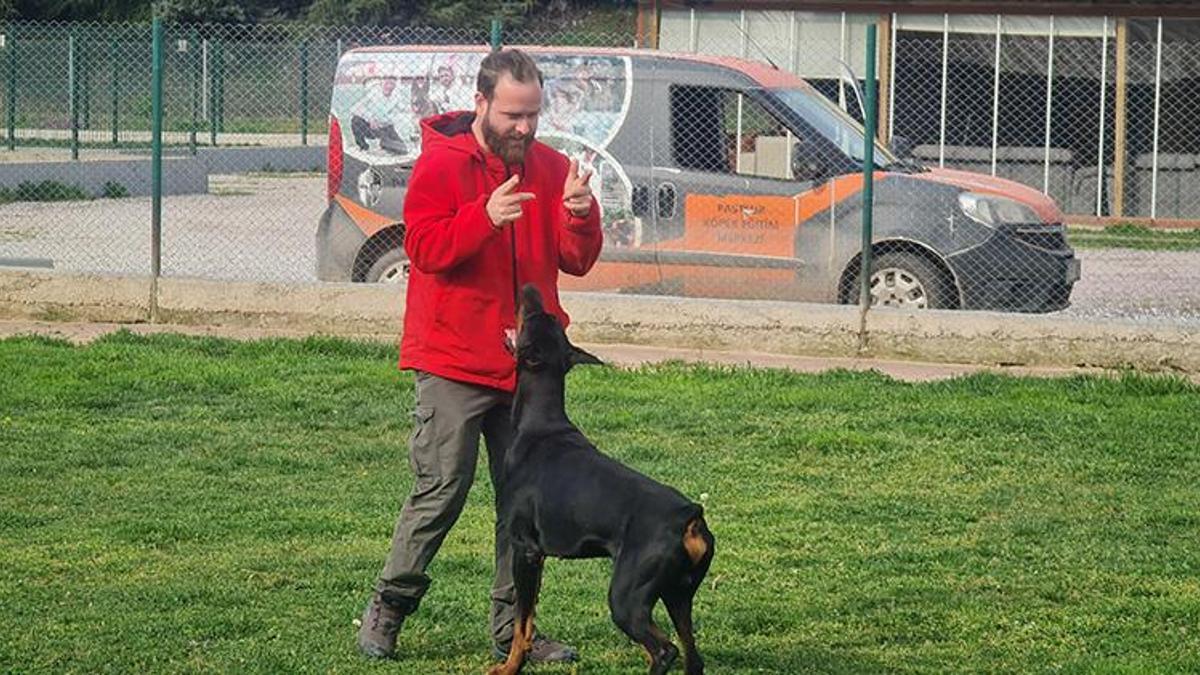 Köpek saldırısından kaçınma yolları: Kesinlikle göz teması kurmayın