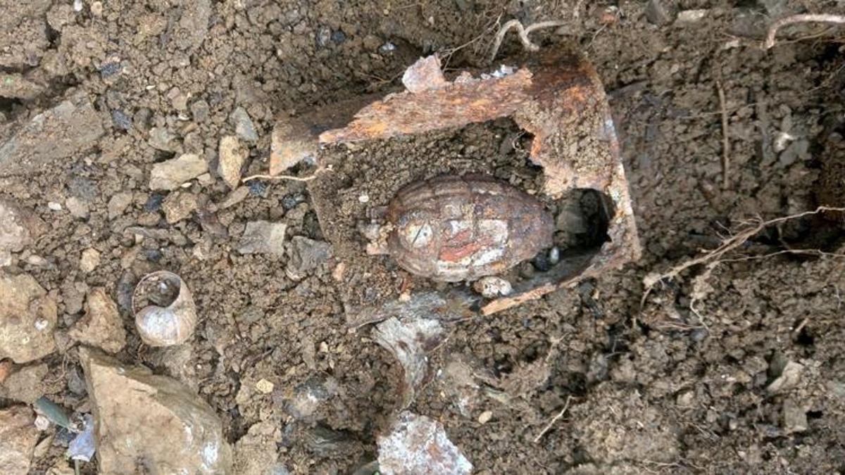 Bahçesini temizlerken el bombası buldu