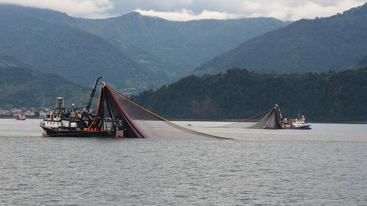 Karadeniz'de deniz suyu sıcaklığı 2 derece arttı! 'Balık türleri azalıyor'