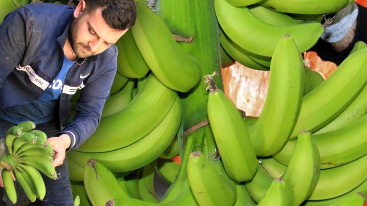 Enflasyona karşı direniyor, fiyatları yüz güldürdü! Yüzde 50...