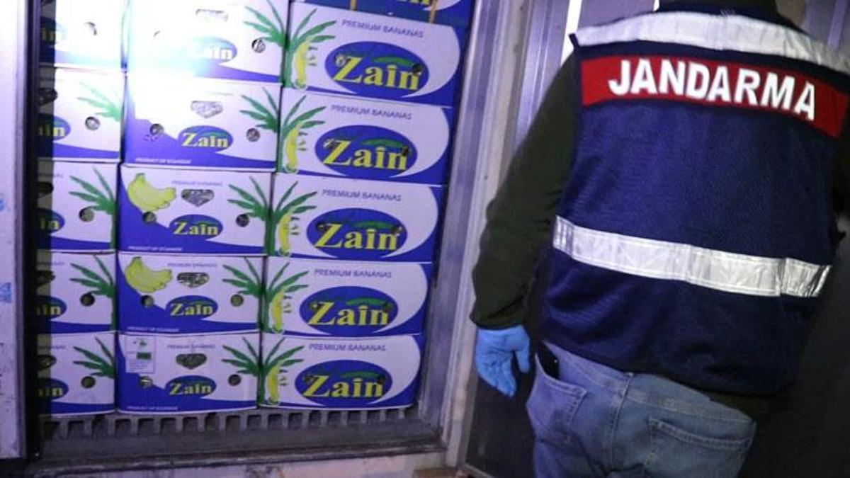 Muz kolilerinin arasından çıktı! 258 kilo kokain
