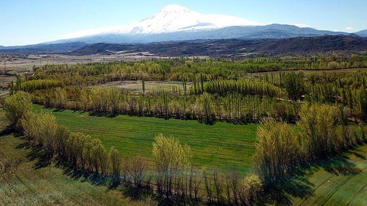 2B arazisi nedir? 2B arazilerinin satışı nasıl olacak?
