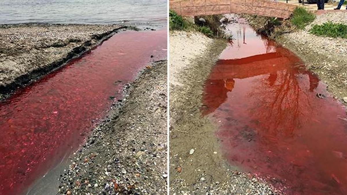 Tekirdağ'da tedirgin eden görüntü! Dere kırmızıya büründü, belediye açıkladı