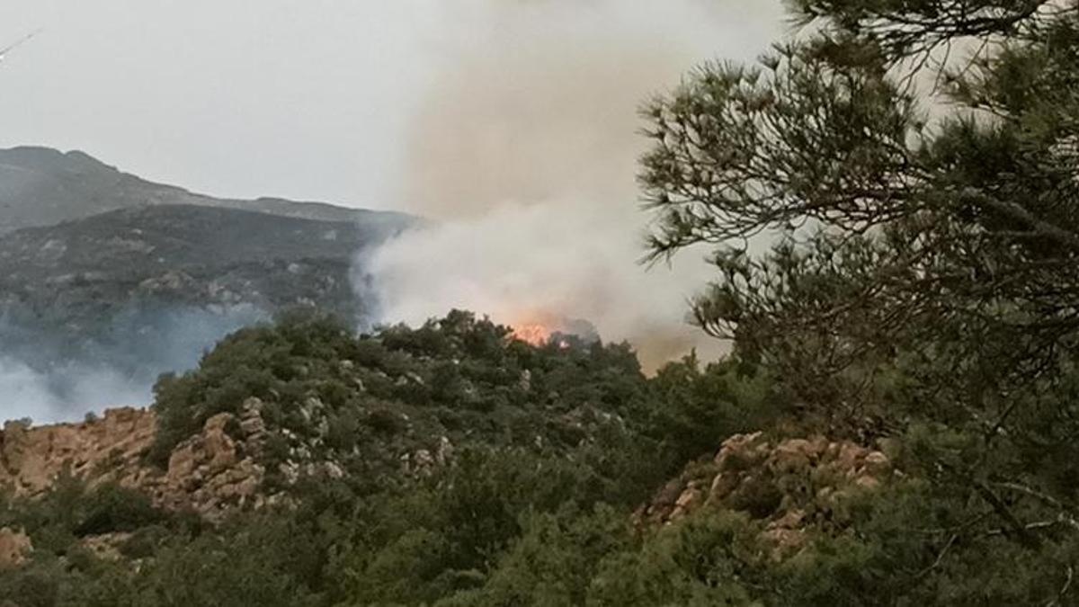 Bodrum'da orman yangını!