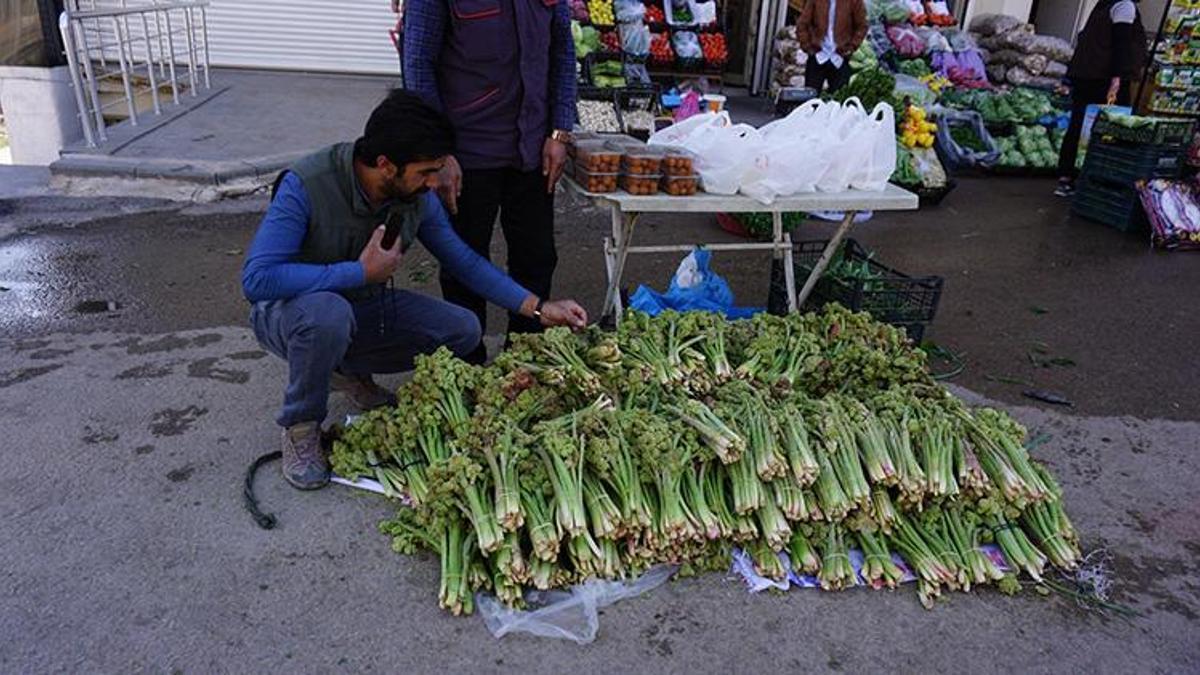 Uçkun (yayla muzu) tezgahtaki yerini aldı! Demeti 10 lira...