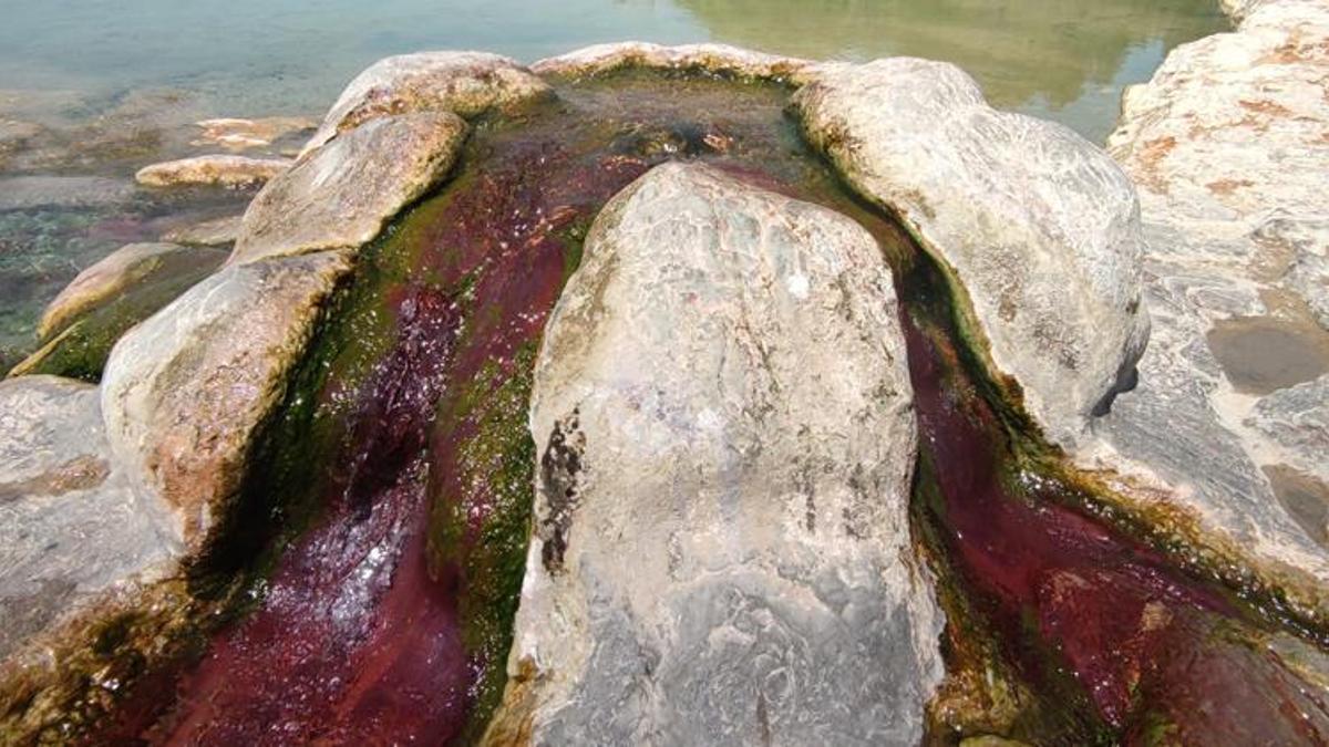 Turizmci umudunu sağlık turizmine bağladı