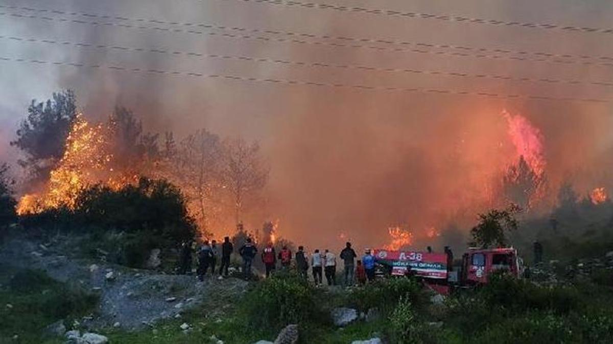 Hatay'daki orman yangınıyla ilgili 2 tutuklama!