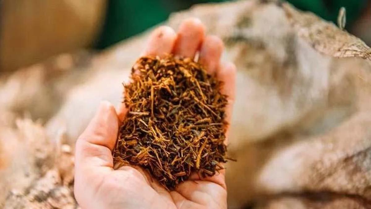 Tütün ÖTV oranı! Sarmalık kıyılmış tütünde ÖTV oranı ne kadar oldu, kıyılmış tütün fiyatları artacak mı?