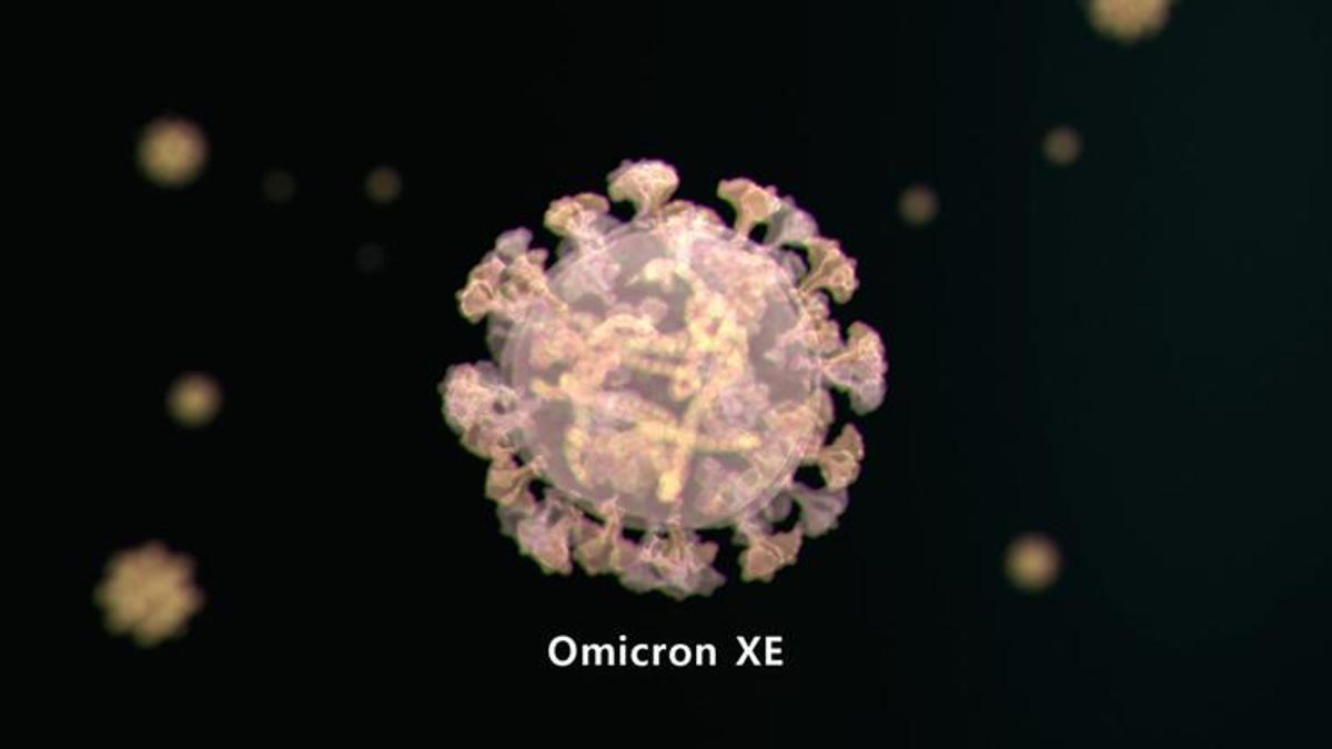 Koronavirüs yeni varyantı Omicron XE belirtileri ne? Omicron XE bulaşıcı mı? Aşılar yeni varyantta etkili mi?
