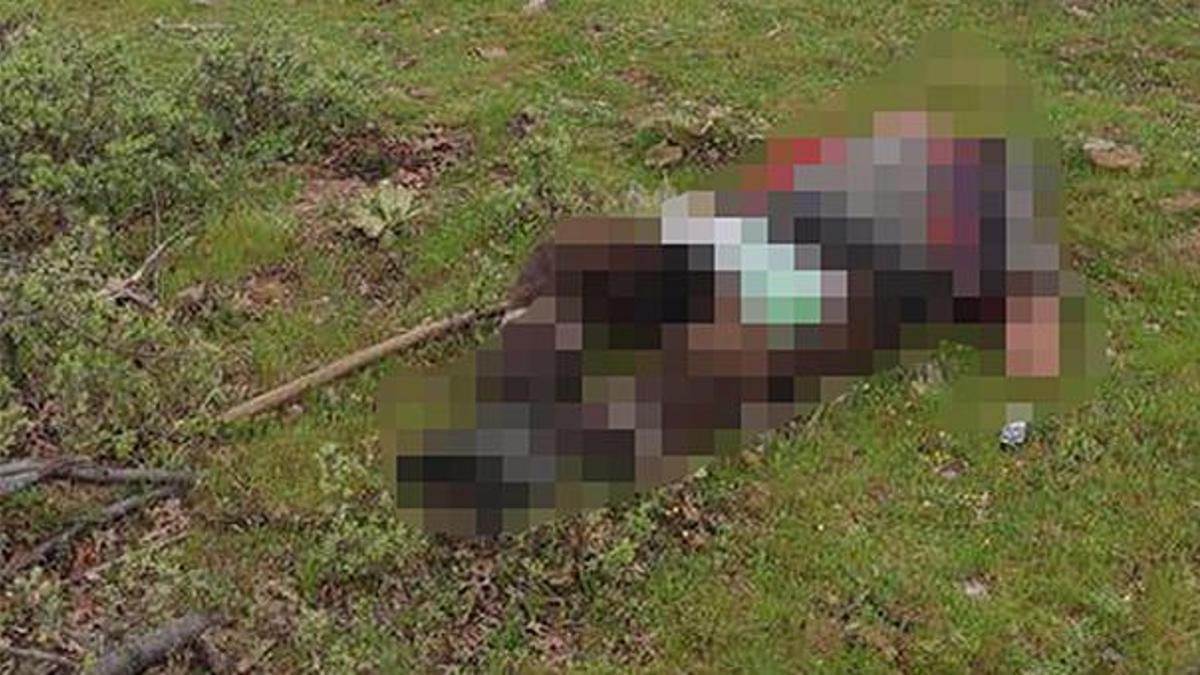 Manisa'da korkunç olay! Kuzenini av tüfeğiyle öldürdü