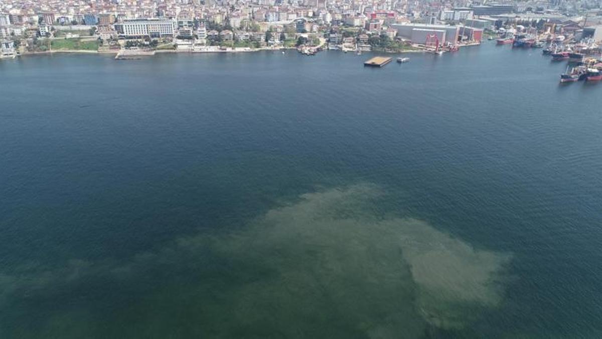 Marmara Denizi'nde felaket geri dönüyor! Müsilaj kusuyor