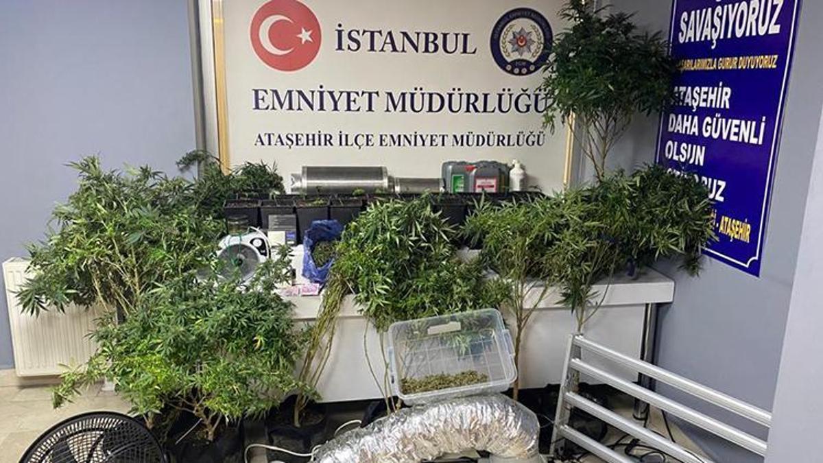 Ataşehir'de rezidanstaki daireyi uyuşturucu serasına çevirdiler