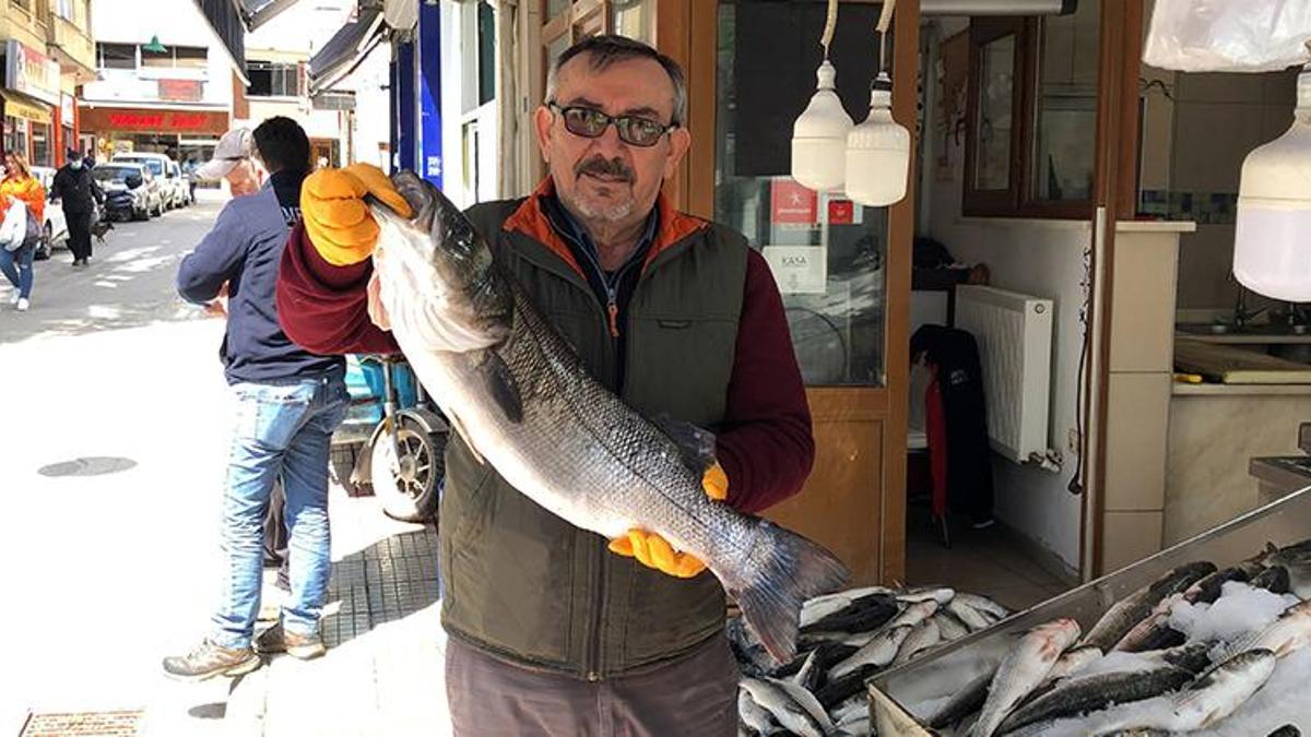 Balıkçı ağlarına 7 kiloluk levrek takıldı! 1250 TL'ye satıldı