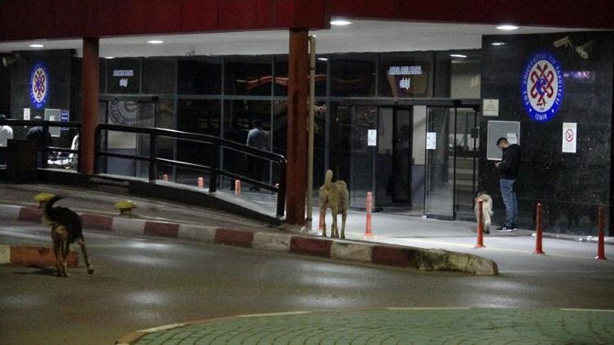 Kucağında çocuğu olduğu halde tartıştığı kadın tarafından bıçaklandı
