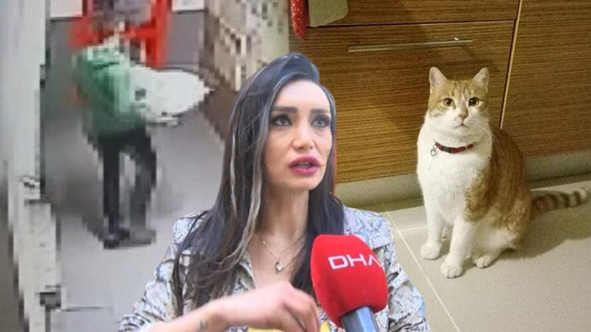 Komşusunun kedisini kutuya koyup arsaya attı! 'Bunu bir eğitimcinin yapmış olması bizi derinden yaraladı'