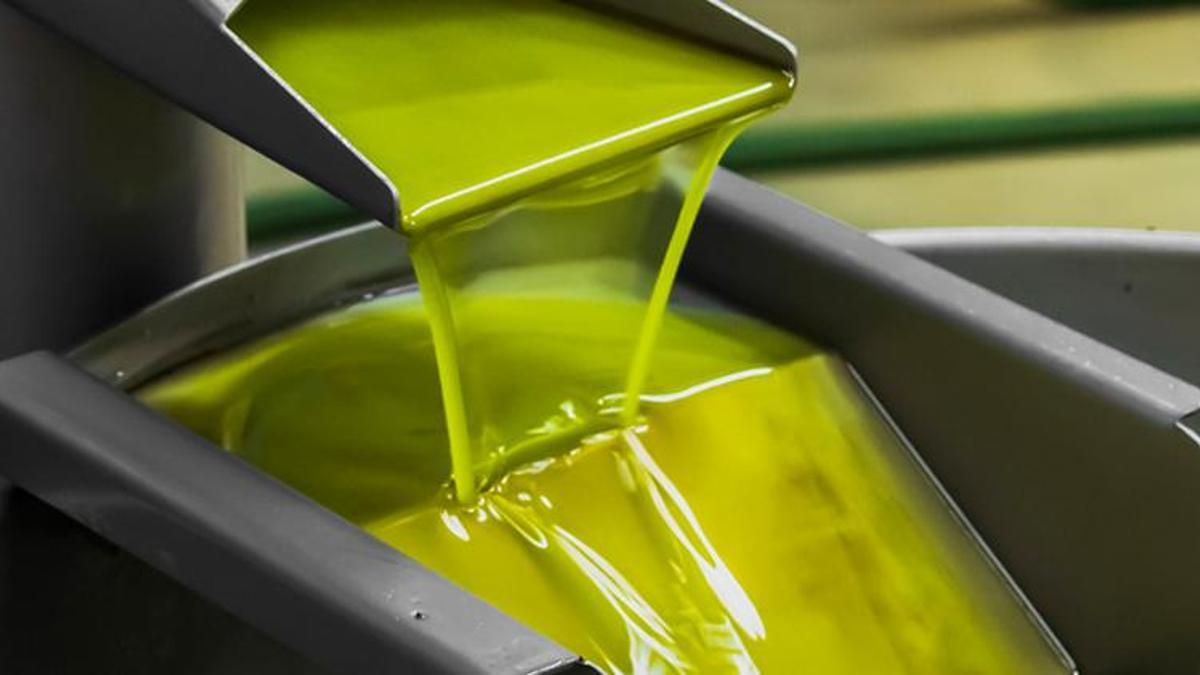 Sahte zeytinyağı ile ilgili son dakika uyarısı! Tehlike saçıyor, ölüme neden oluyor...